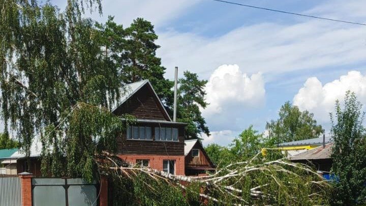 Из-за урагана в Новосибирской области больше 7 тысяч жителей остались без электричества
