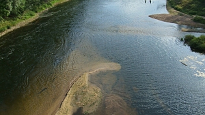 Это что такое?: Жительница Азова стала мемом после эпичного интервью
