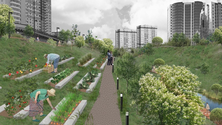 Огород в английском стиле предлагают разбить на берегах Ельцовки