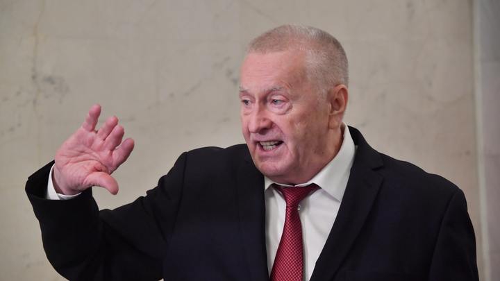 Я всегда с русским народом: В зоне спецоперации нашли реинкарнацию Жириновского