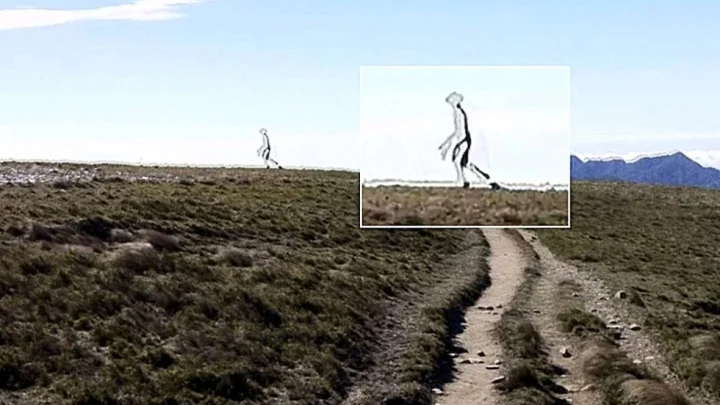 Никто не знает, что это: идет изучение существа, в ФБР признали подлинность снимка