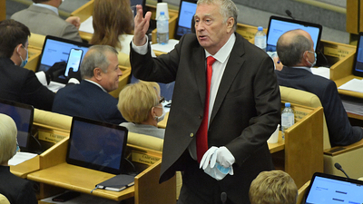 России не нужны русские дети? Слова Жириновского вызвали гнев