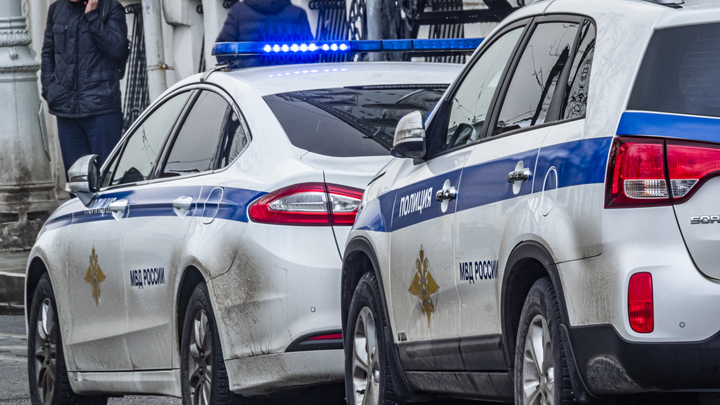 Драка школьников в Подмосковье: Восемь подростков разнимали полицейские