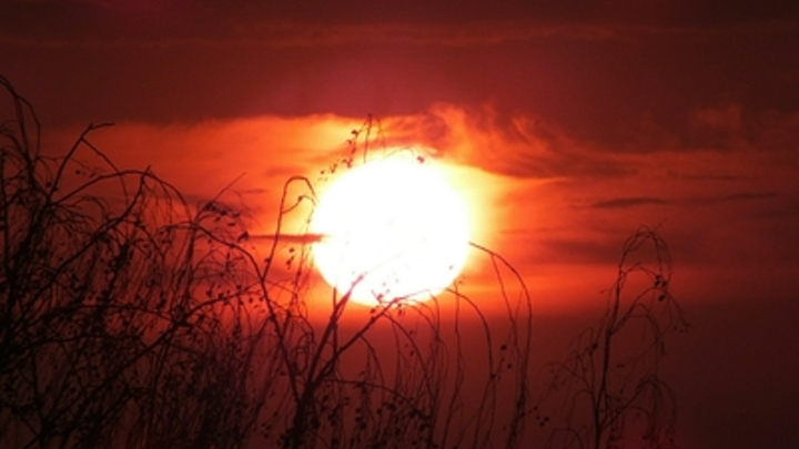 Жара под 40 градусов: Вильфанд рассказал, куда в России придёт аномальное тепло