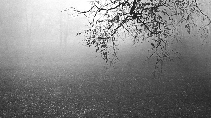 На Кубани в начале недели ожидаются дожди и туман — Гидрометцентр