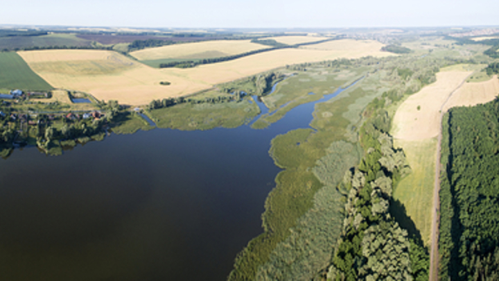 Прокуратуру усилят дронами и интернетом: Войну с браконьерами в России выведут на новый уровень