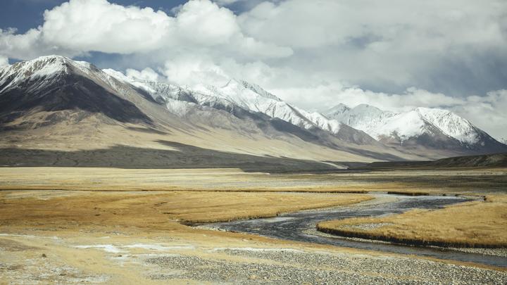 Есть выжившие: Новые детали о крушении Falcon 10 в Афганистане