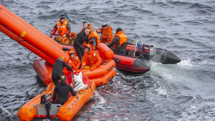 В Абхазии вторые сутки ищут русскую туристку