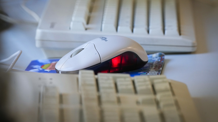 Сын Медведева стал координатором Портала госуслуг для новых регионов России