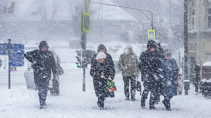 Во Владивостоке ветром сдуло трактор: Город накрыла аномальная снежная буря