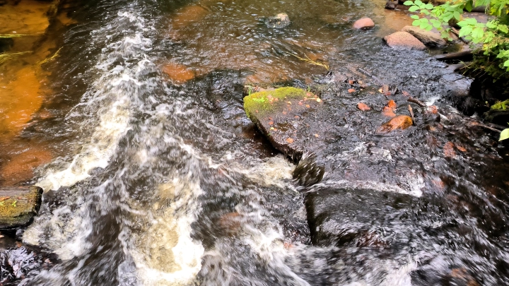 На Крещение в священном источнике в Кузбассе почернела вода: люди запаниковали