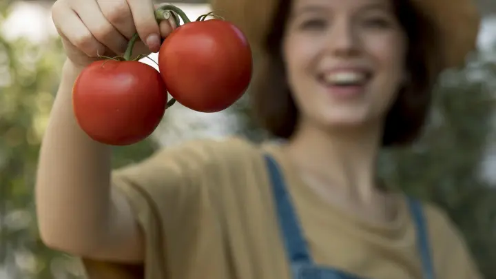 Эпицентр томатного безумия и неплохой рынок сбыта для Азербайджана: Главное правило  22 тысяч участников сражения — размять помидор