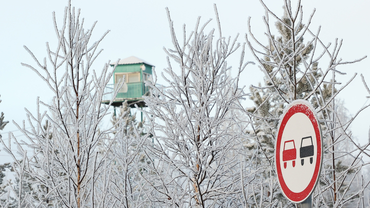 Займёт всего несколько часов: Финны неожиданно заговорили об открытии границ с Россией