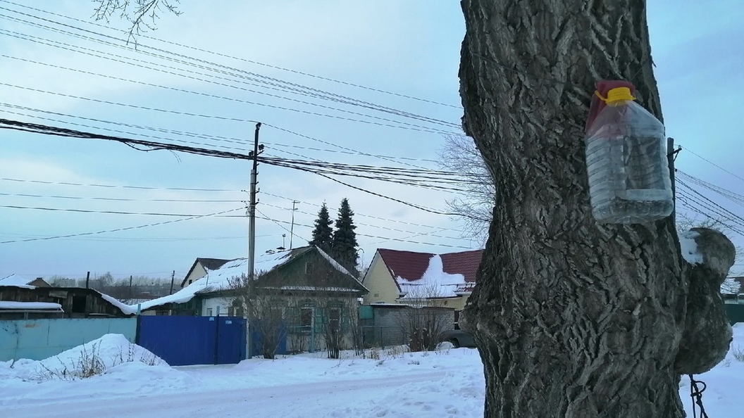 Карсы погода челябинская. Ветер в Челябинске. Погода Челяба.