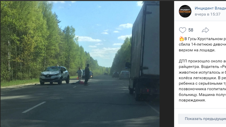 В Гусь-Хрустальном районе девочка на лошади попала под машину и сломала позвоночник