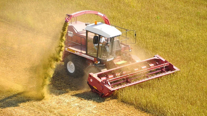 Предприятие Кубани вдвое увеличило выработку, применив бережливые технологии