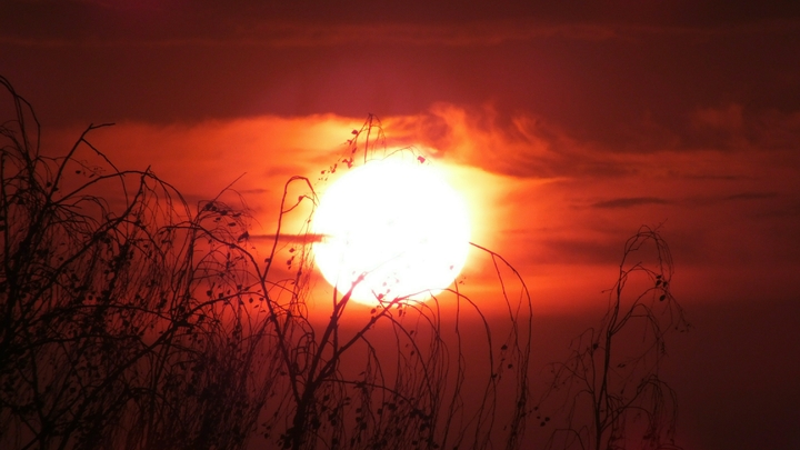 Где заморозков не будет точно: В Гидрометцентре назвали единственный жаркий регион России