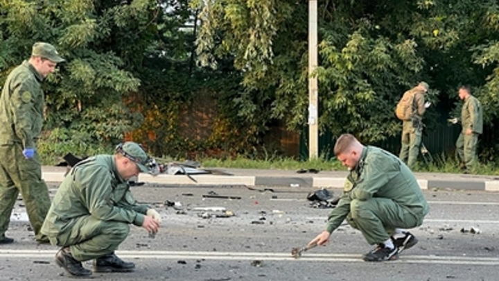 МВД Австрии заявили, что ничего не знают об убийстве Вовк