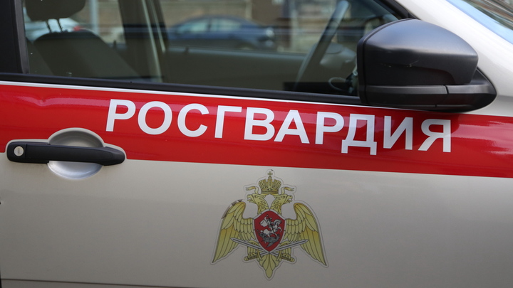 Экстравагантный воришка попался росгвардейцам Петербурга