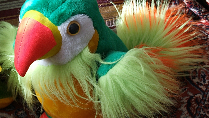 Никак нельзя допускать: В Чечне проверят антистресс-игрушку на гомосексуализм