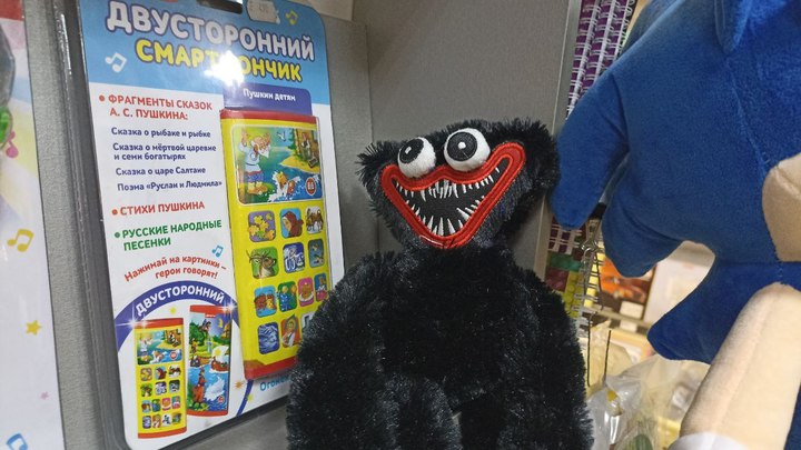 Жительница Забайкалья украла в магазине игрушку Хаги-Ваги