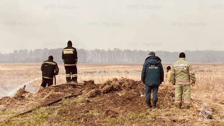 В районе аэропорта Толмачёво дважды за выходные ликвидировали ландшафтные пожары