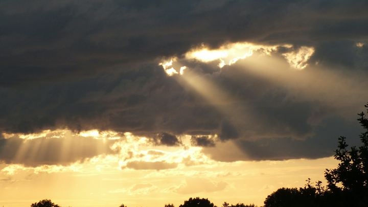 Вильфанд предупредил москвичей о возвращении тропической жары