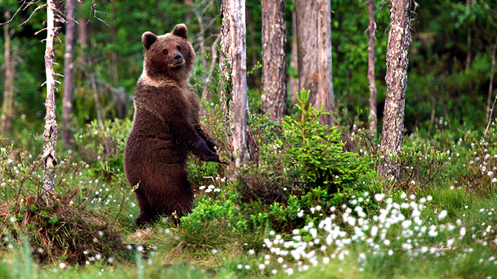 Юрий Пронько о плане олигархов: Чиновник проговорился