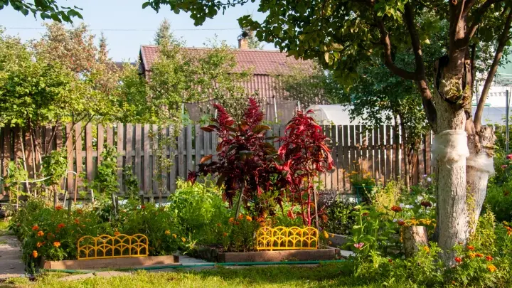 Молодежь покоряет грядки: на Кубани растет число юных дачников