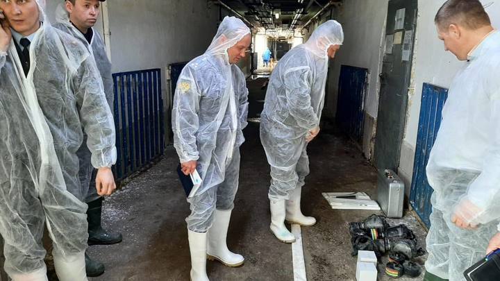 В Челябинске директор клининга станет рабочей и будет отдавать деньги государству