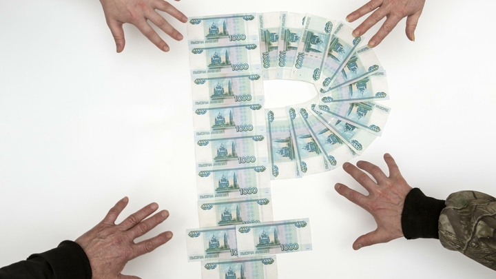 Уголовное дело даже за один серый рубль: Сенатор предложил кардинальную защиту зарплат