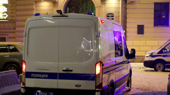 В Петербурге пропали пятиклассник и первокурсница. У юных незнакомцев много общего