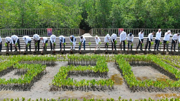 Провал США на G20: Страна отказалась от всех своих притязаний - Sabah