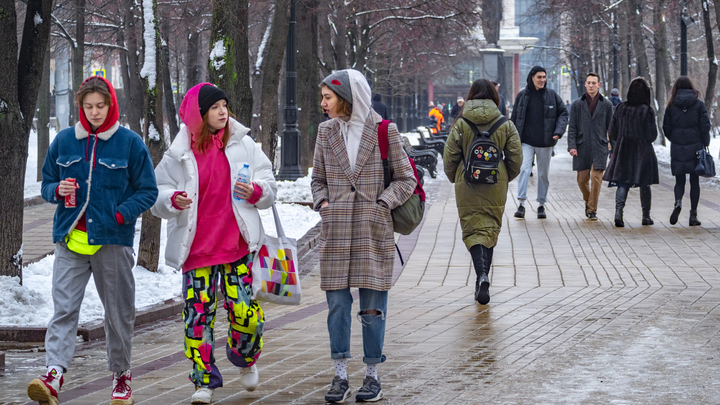 Идут на север, а не на юг: Названы причины аномально тёплой зимы