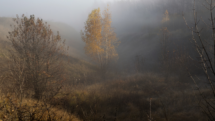 В Сочи создали рабочую группу для разрешения ситуации с арестами спорных земель нацпарка