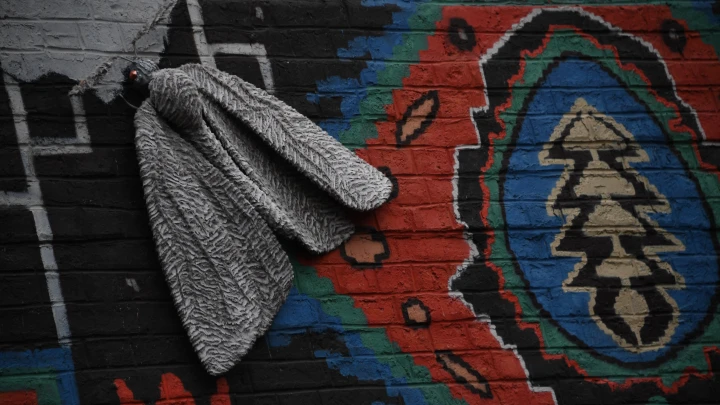 Элитная моль съела $40 млн. Дочка олигарха из России устроила переполох в Лондоне