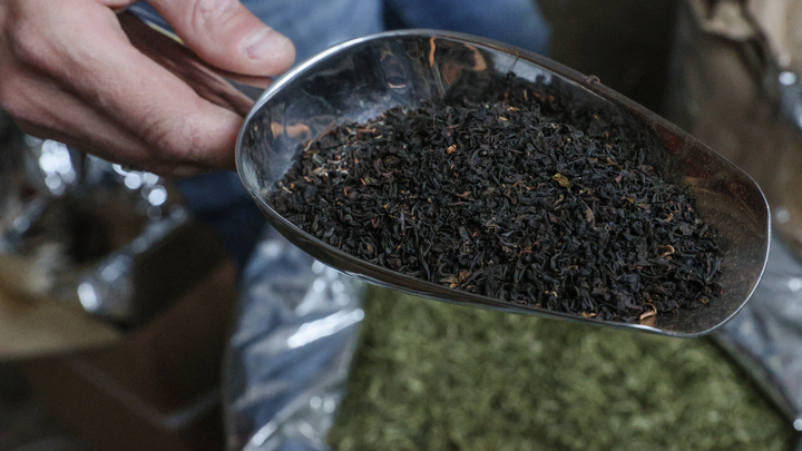 Ученые определили самый полезный чай, назвав его эликсиром долголетия