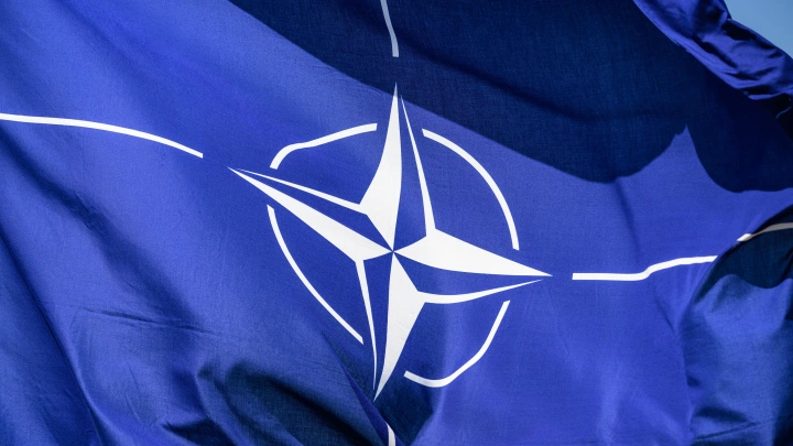 DM: Трамп хочет передать руководство НАТО Британии или Франции