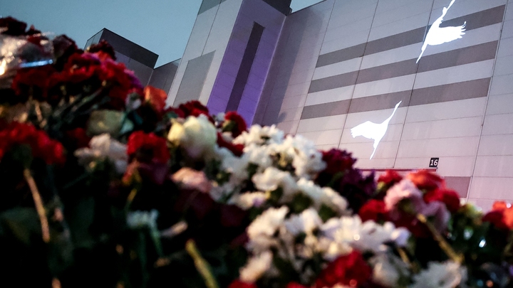 Миграция, как плесень: политолог объяснил, что делать с мигрантами после Крокуса