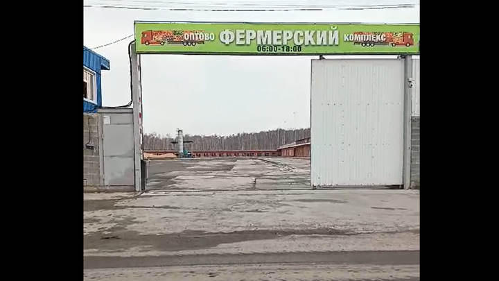 Приглашают в секретных чатах: под Челябинском откроется огромный мигрантский рынок