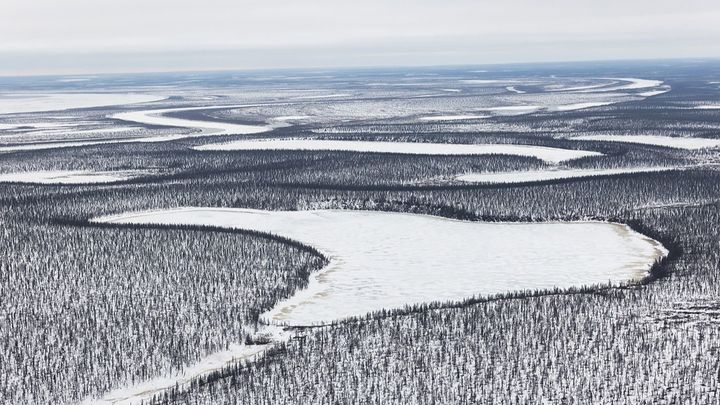 Юные полярники из Москвы вернулись из Большой арктической экспедиции - Собянин