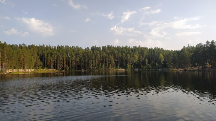 В Подмосковье стартовало голосование по расчистке озер и прудов