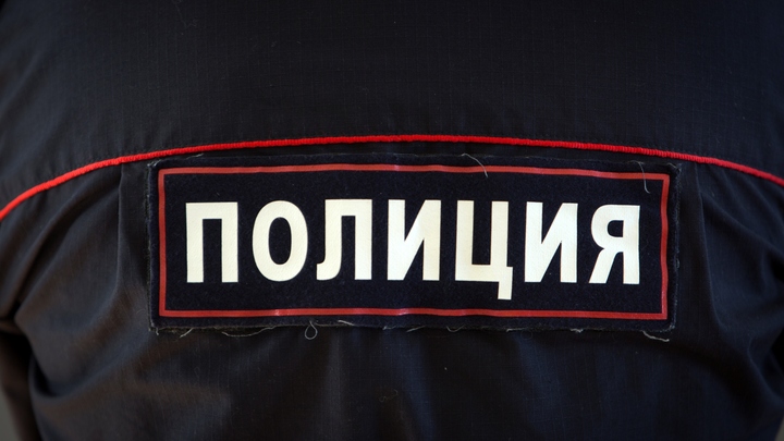 Пастух заработал 1 млн за пару минут: Обычный чабан сделал Калмыкию безопаснее