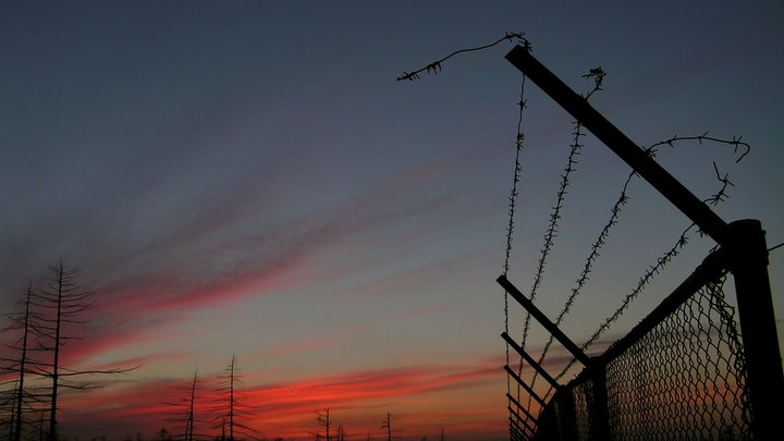 Латвийские пограничники за сутки развернули всего одного мигранта и задержали одиннадцать