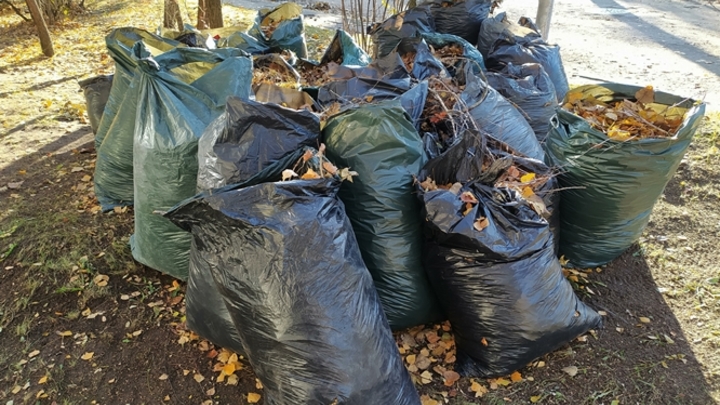 Почти 300 килограммов мусора собрали жители Читы во время бега трусцой