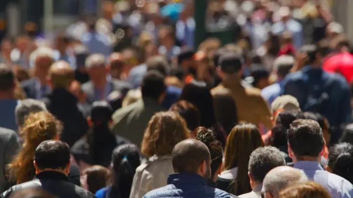 Две трети грамотно звонят: опрос ВЦИОМ о русском языке и ударении в слове