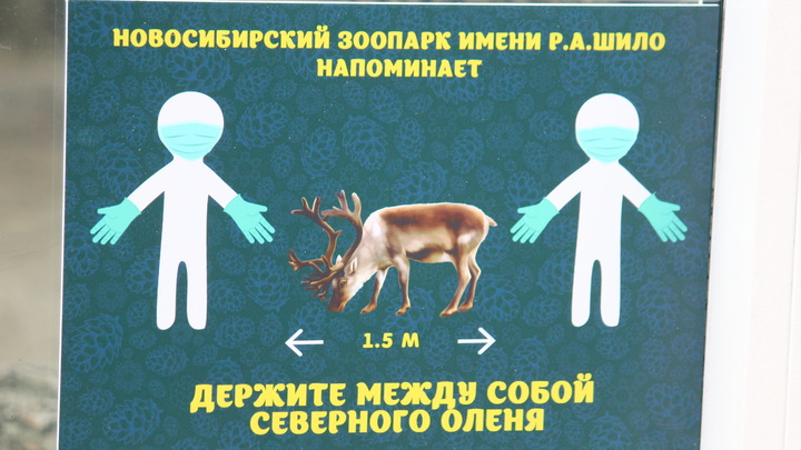 Краткие итоги июня для жителей Новосибирской области