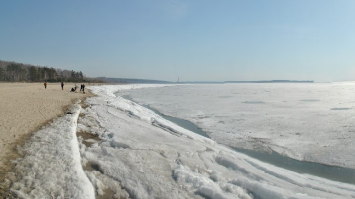 На берегу Обского моря в Новосибирске нашли тысячи мёртвых мальков