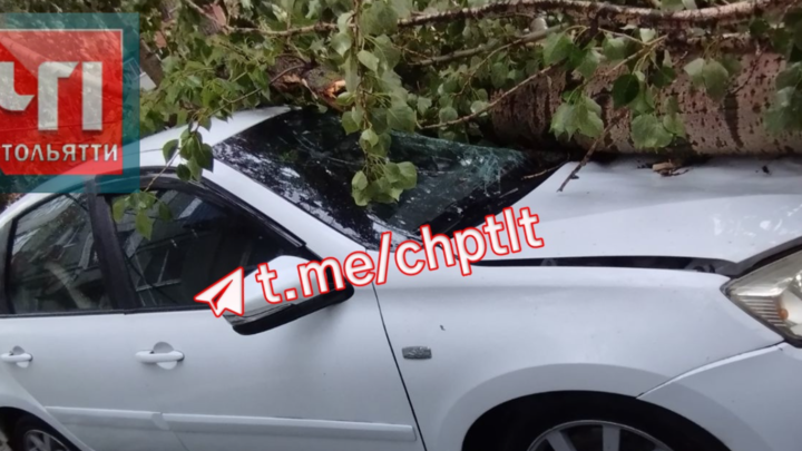 В Тольятти из-за ураганного ветра срывало деревья и столбы