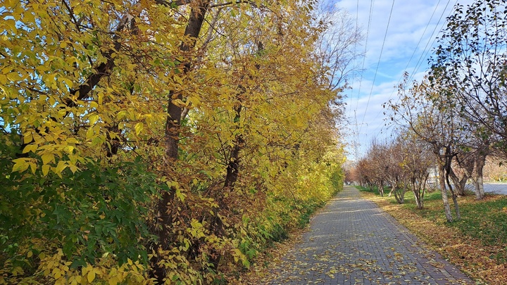 В Новосибирске в начале ноября температура воздуха опустится до -16 градусов